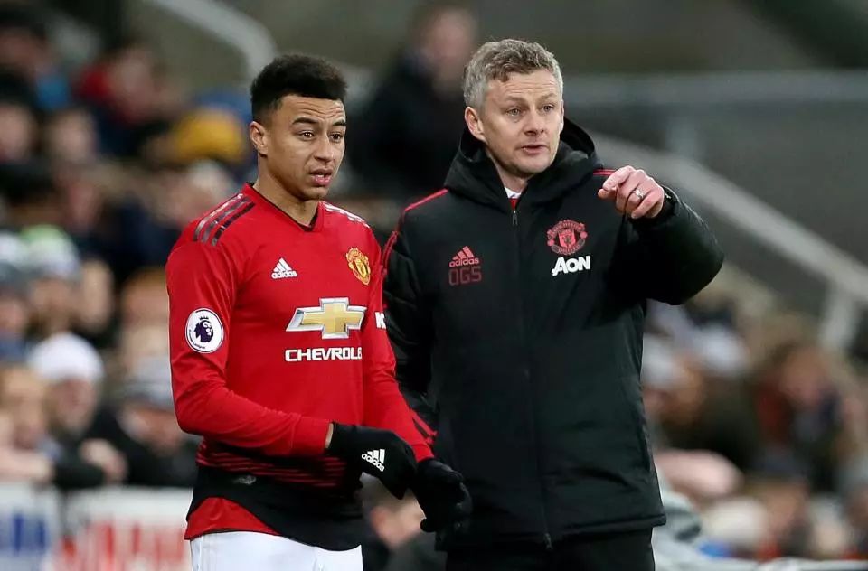 他們不僅成 他們不僅成