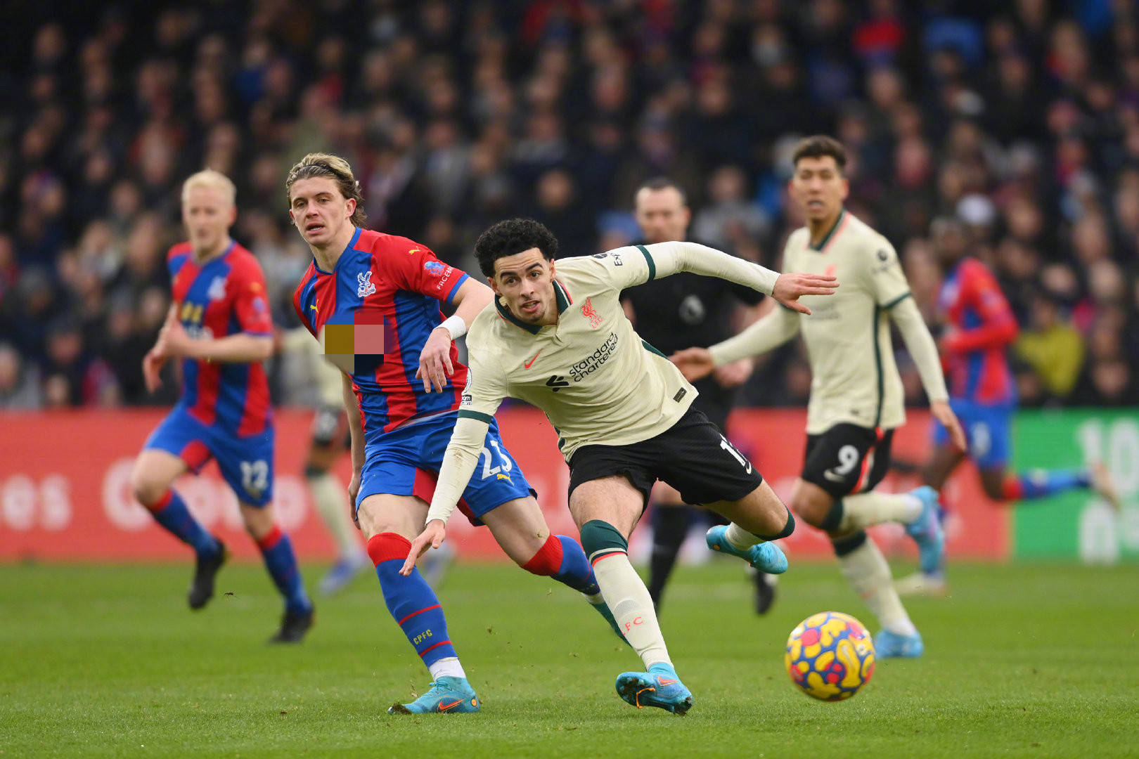 仅塑造了他 仅塑造了他